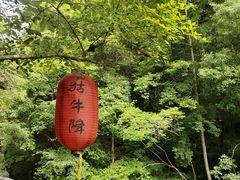 -石台牯牛降景区