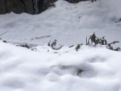 -终南山南五台景区