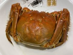 清蒸大阐蟹-新光酒家·河豚·海鲜·蟹料理(浦东店)