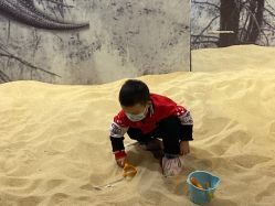 -恐龙探索乐园(磁器口店)