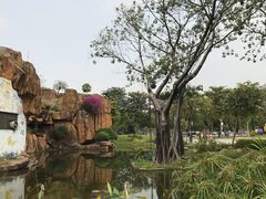 -海珠儿童公园