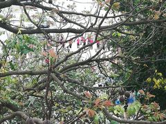 -广东食品药品职业学院(龙洞校区)
