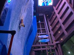 -杭州开元森泊度假乐园