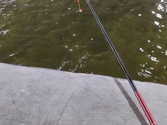 -光头佬钓虾场·烧烤·聚餐·亲子(金沙洲店)