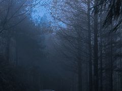 -山王坪喀斯特国家生态公园