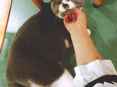 -藦茜花园宠物主题亲子互动体验馆(国顺东路店)