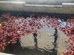 -春晖园度假酒店温泉