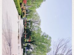 -太阳部落