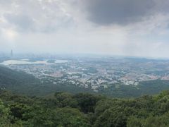 -紫金山山顶公园
