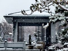 -金陵中学(河西分校)