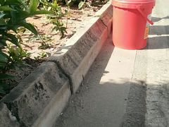 -万绿园