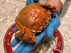 -新光酒家·河豚·海鲜·蟹料理(浦东店)
