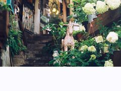 -懒鱼时光馆(沙坪坝店)