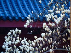 -杭州上天竺法喜讲寺