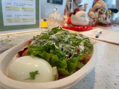 -油梨树AVOCADO TREE(望京店)