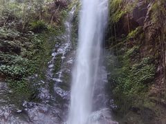 -莫里热带雨林景区