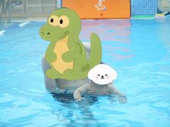 -戊辰亲子游泳俱乐部