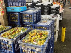 -江杨农产品批发市场