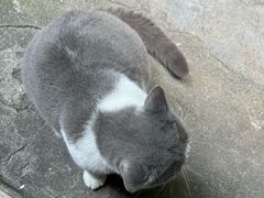 -黄氏祖传百暖凉茶店