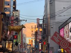 -大国药妆(NEW心斎橋店)