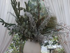 -Jo's Garden