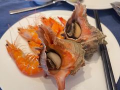 -Social 秀西餐厅-长沙瑞吉酒店(运达店)