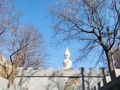 -北京西山国家森林公园