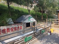 -北京鹿世界主题园