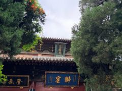-洛阳白马寺