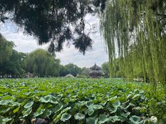 -莲池书院博物馆