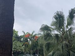 -Waterfall瀑布湾优健源(华侨城店)