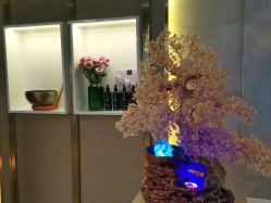 -栖SPA·ONDA ·海菲秀·皑皑科技美肤中心