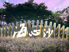 -海心沙亚运公园