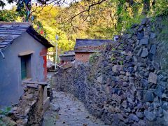 -南窖乡水峪村山情农家