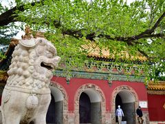 -沈阳市东陵公园