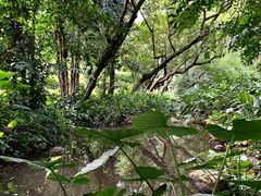 -广州兰圃