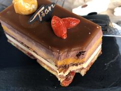 沙棘枸杞巧克力蛋糕-Tian品