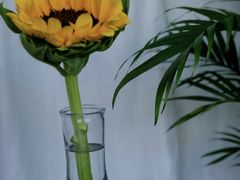 -万象影城(杭州万象城IMAX激光店)