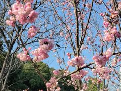 -武汉大学图书馆·文理学部总馆