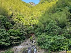 -长谷洞天