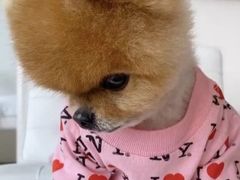 -玖鲜小笼(中山广场店)