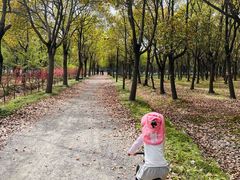 -嘉北郊野公园