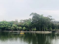 -公园茶楼粤式点心