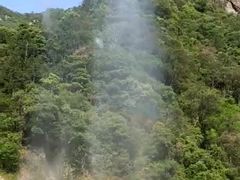 -龙湾潭国家森林公园