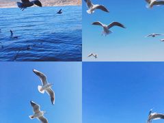 -大理洱海
