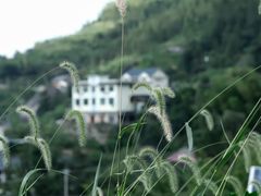 -四明山国家森林公园
