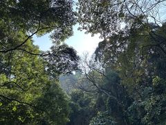 -广州市帽峰山景区