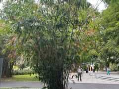 -晓港公园