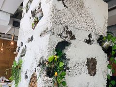 -农畉LONFOOD(福田星河COCOPark店)