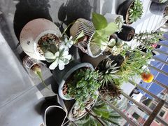 iphone_upload_pic-研途咖啡馆(健康路店)